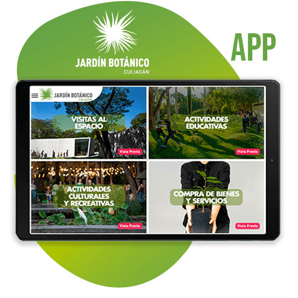 mindtec-proyecto-JB1